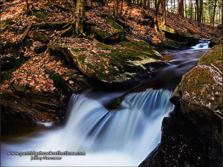 Chesterfield Gorge Natural Area